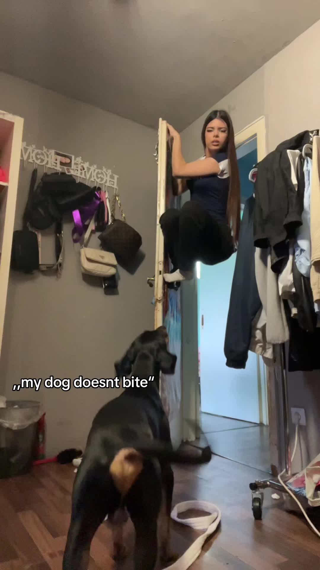 @𝐒 𝐎 𝐅 𝐈 𝐀