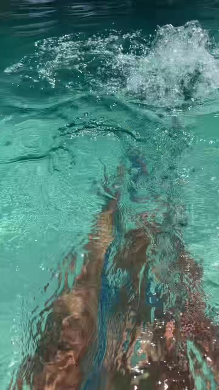 @L.sillyspam