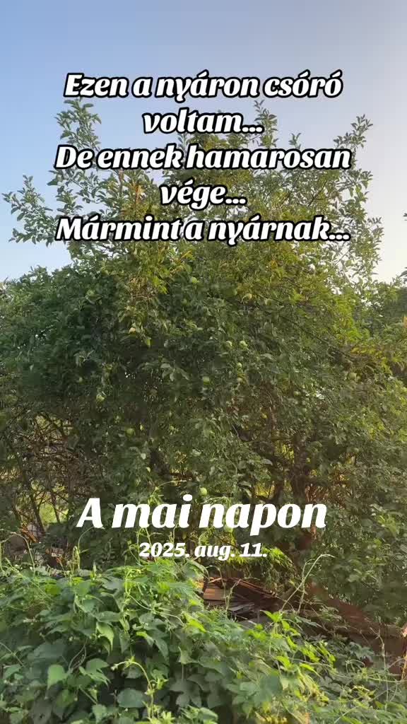 @#faszkivan