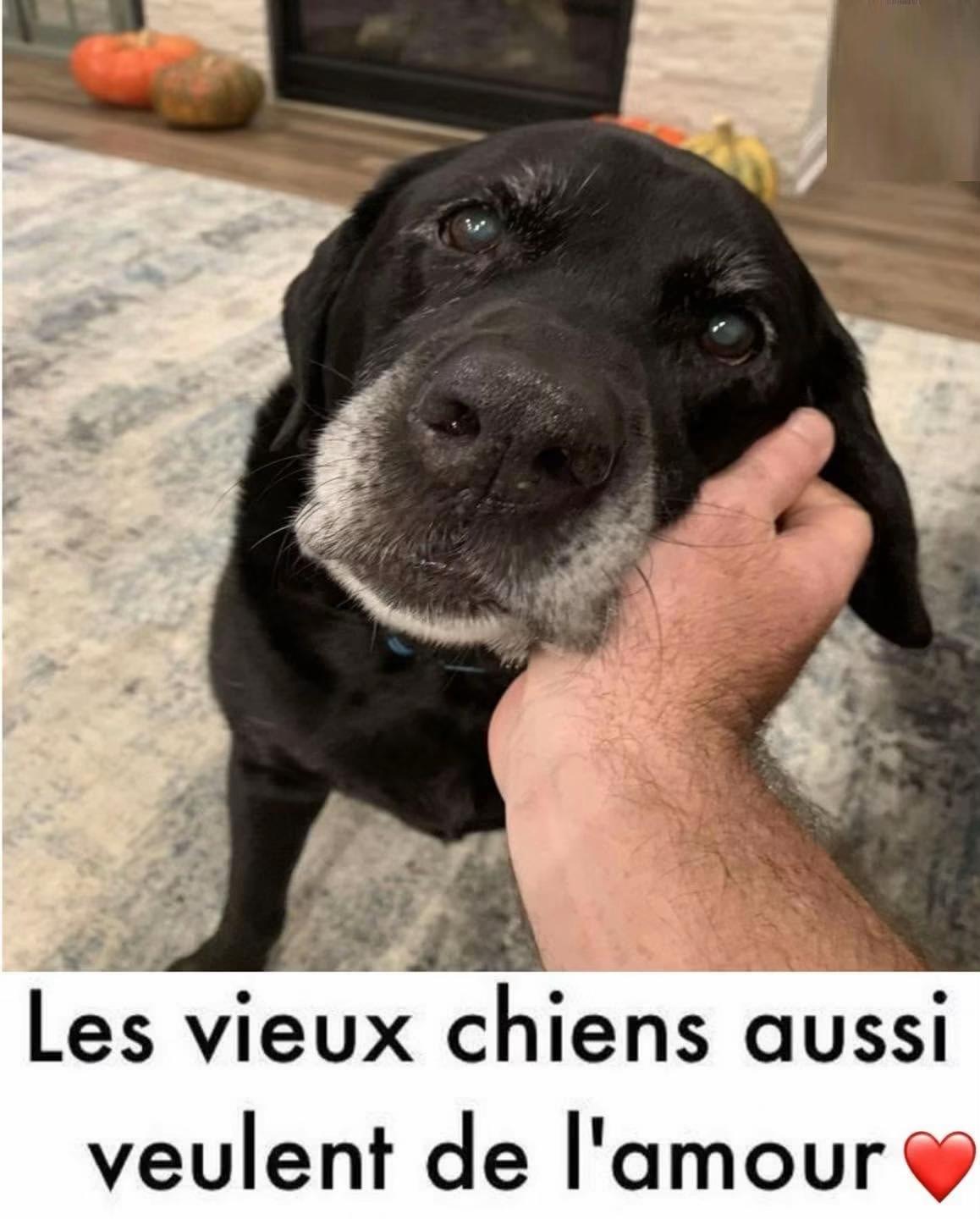 @Martine Levasseur487