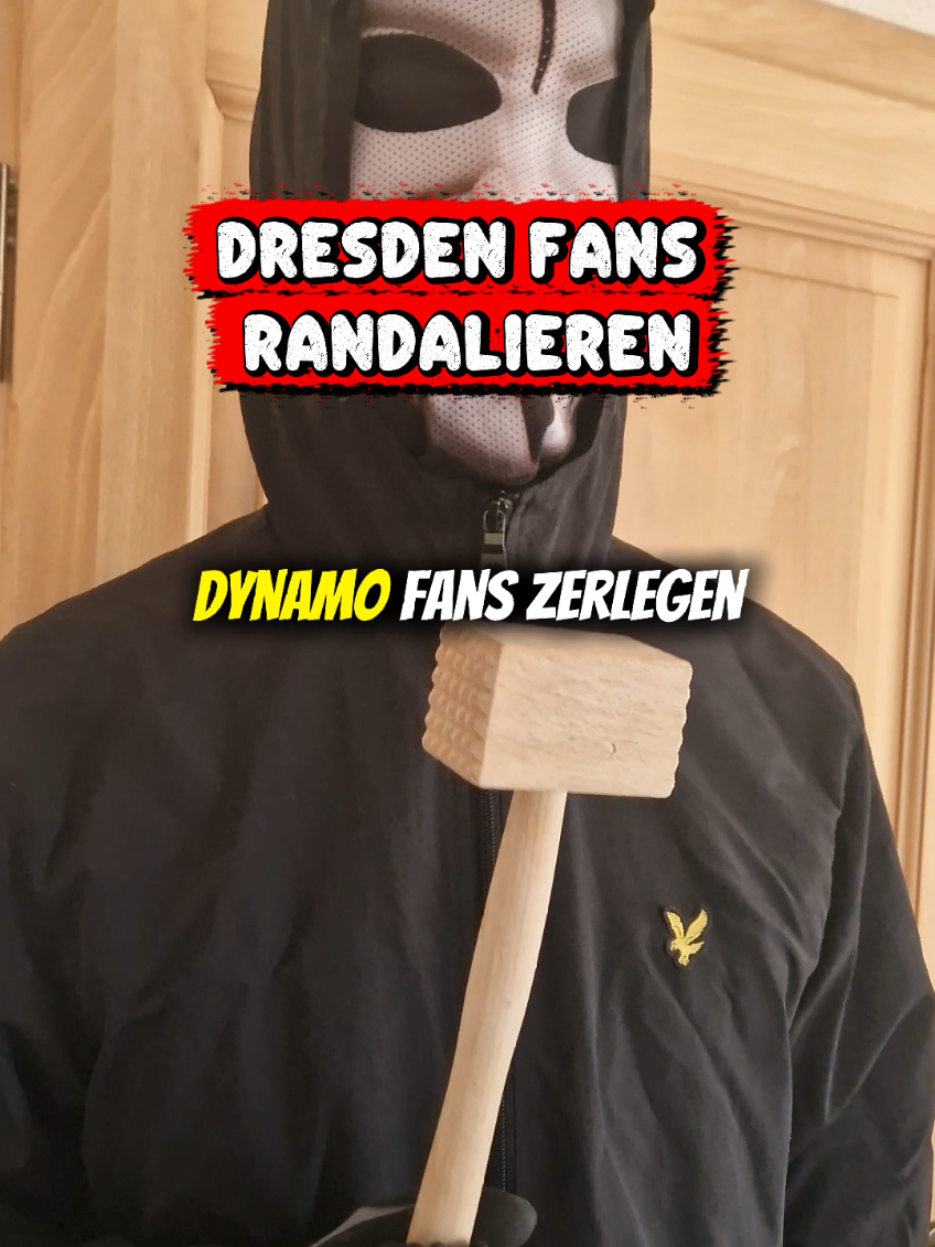@News rund um Fankultur
