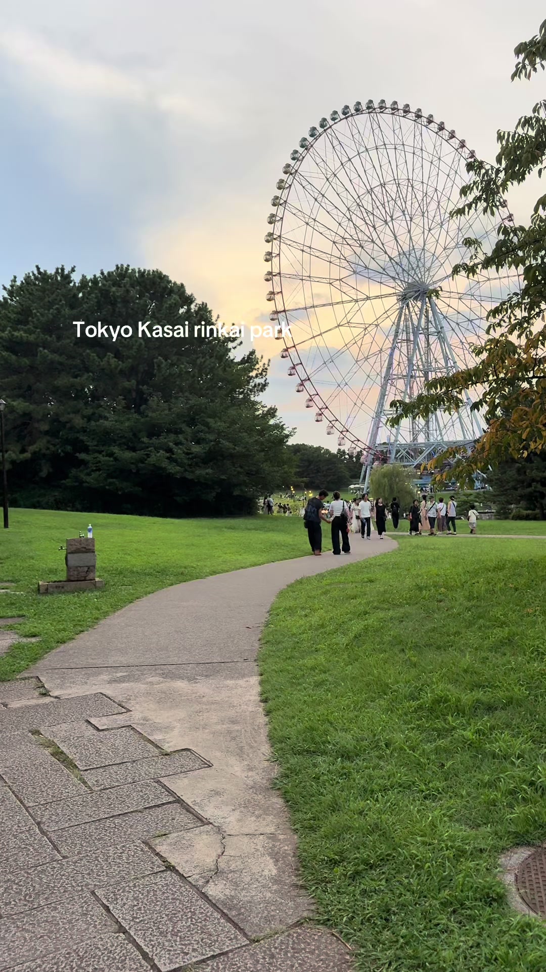 @🌸
