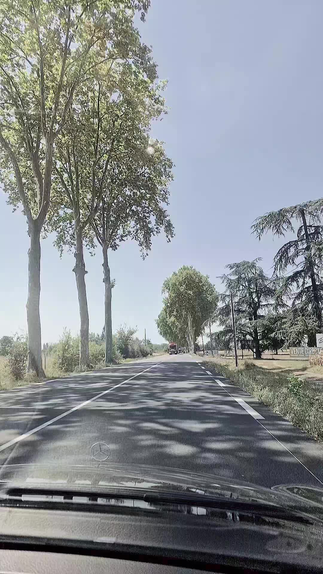 @𝑴𝑶𝑵𝑰𝑲𝑨💀𝑫𝑰𝑬𝒁&trade;️🪽