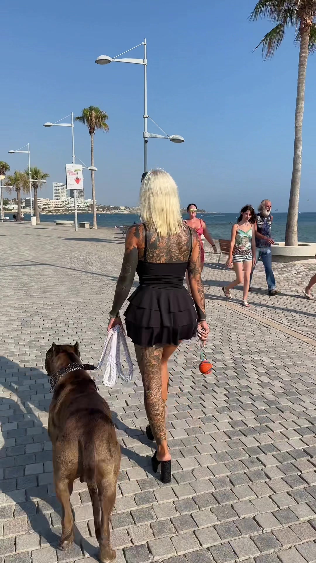 @bad.xlucyy