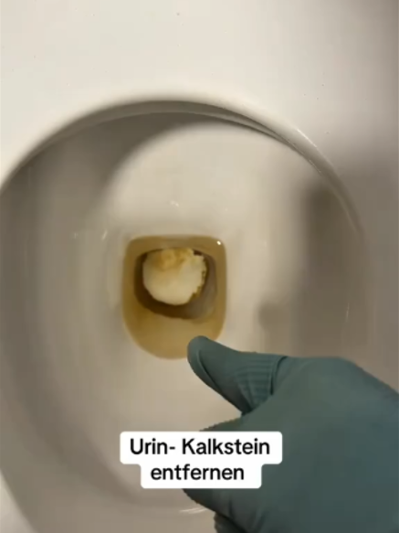 @Gwendolin
