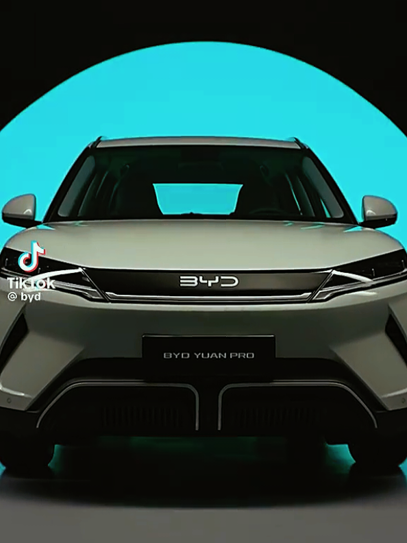 @Great Lion Electric Vehicle