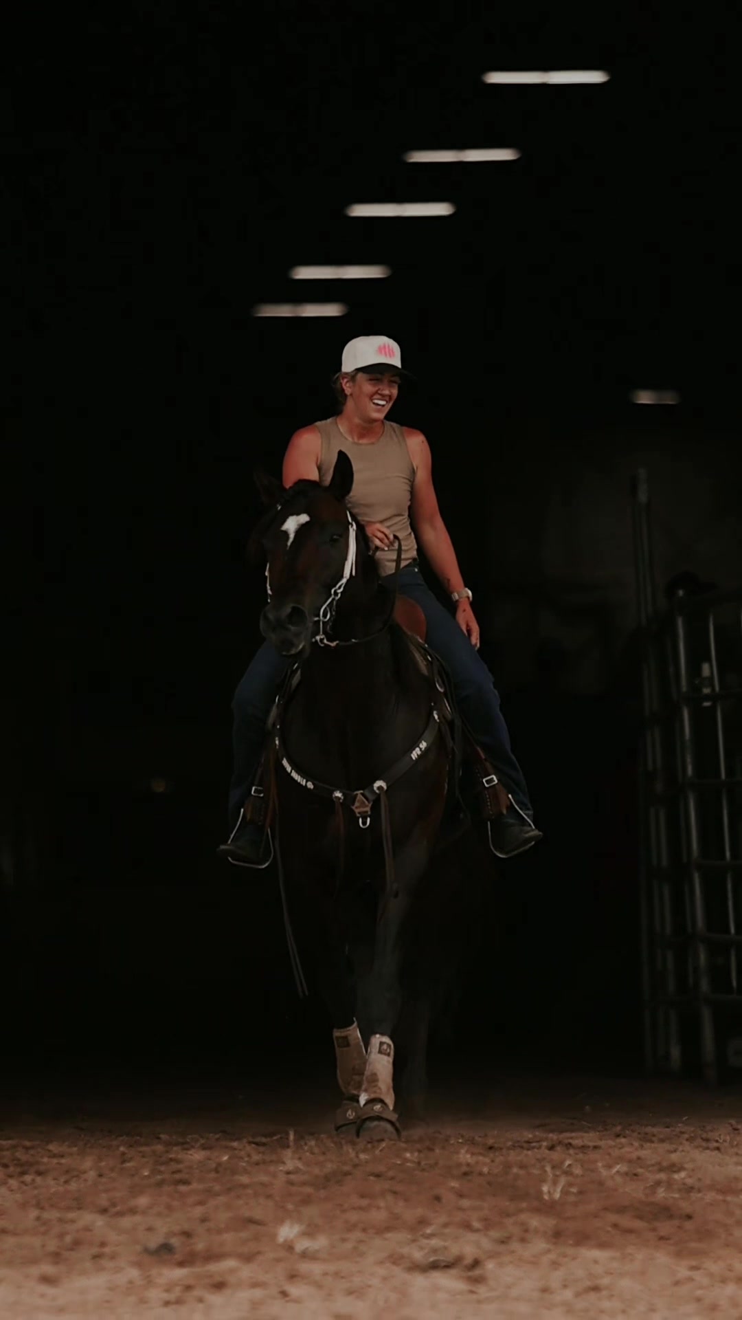 @KY Performance Horses