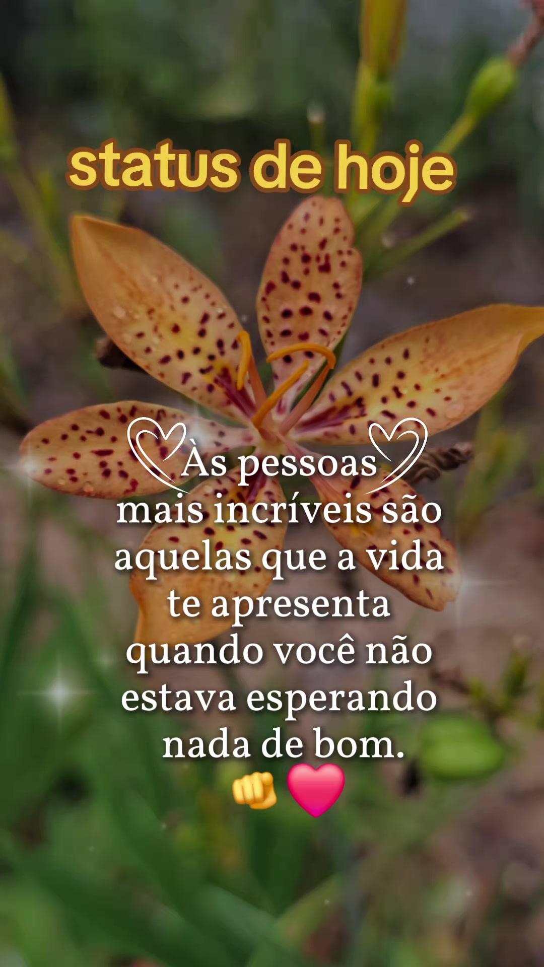 @apaixonada 💘por.sertanejo