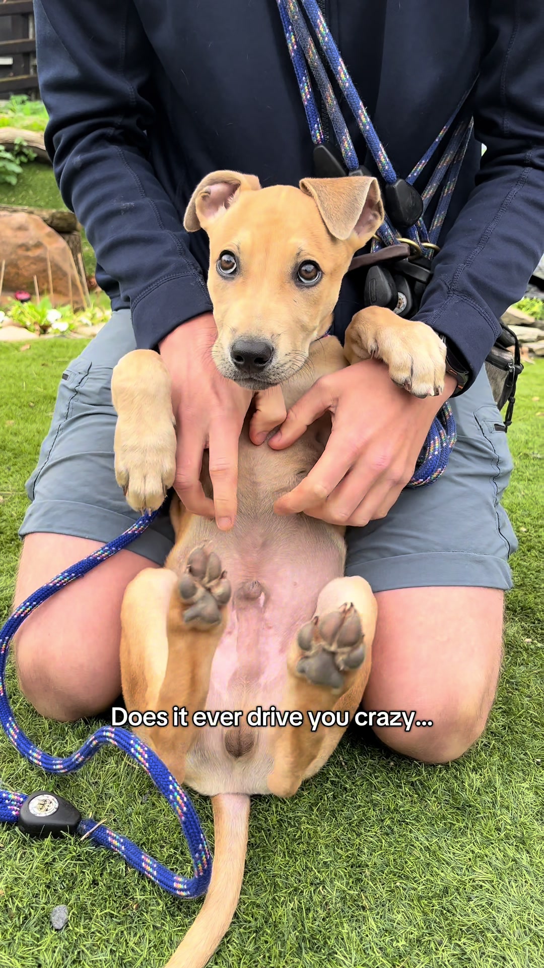 @Many Tears Animal Rescue🐾