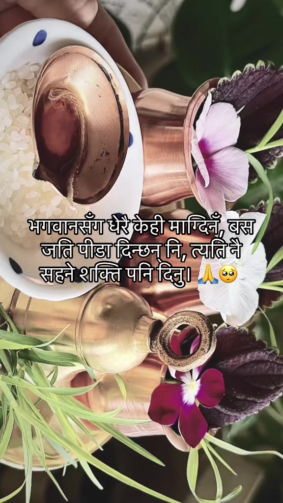 @🪬Bohora kunwar🦚