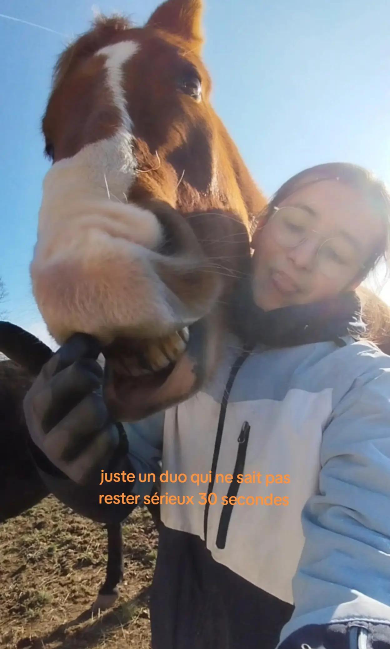 @un_coeur_alezan