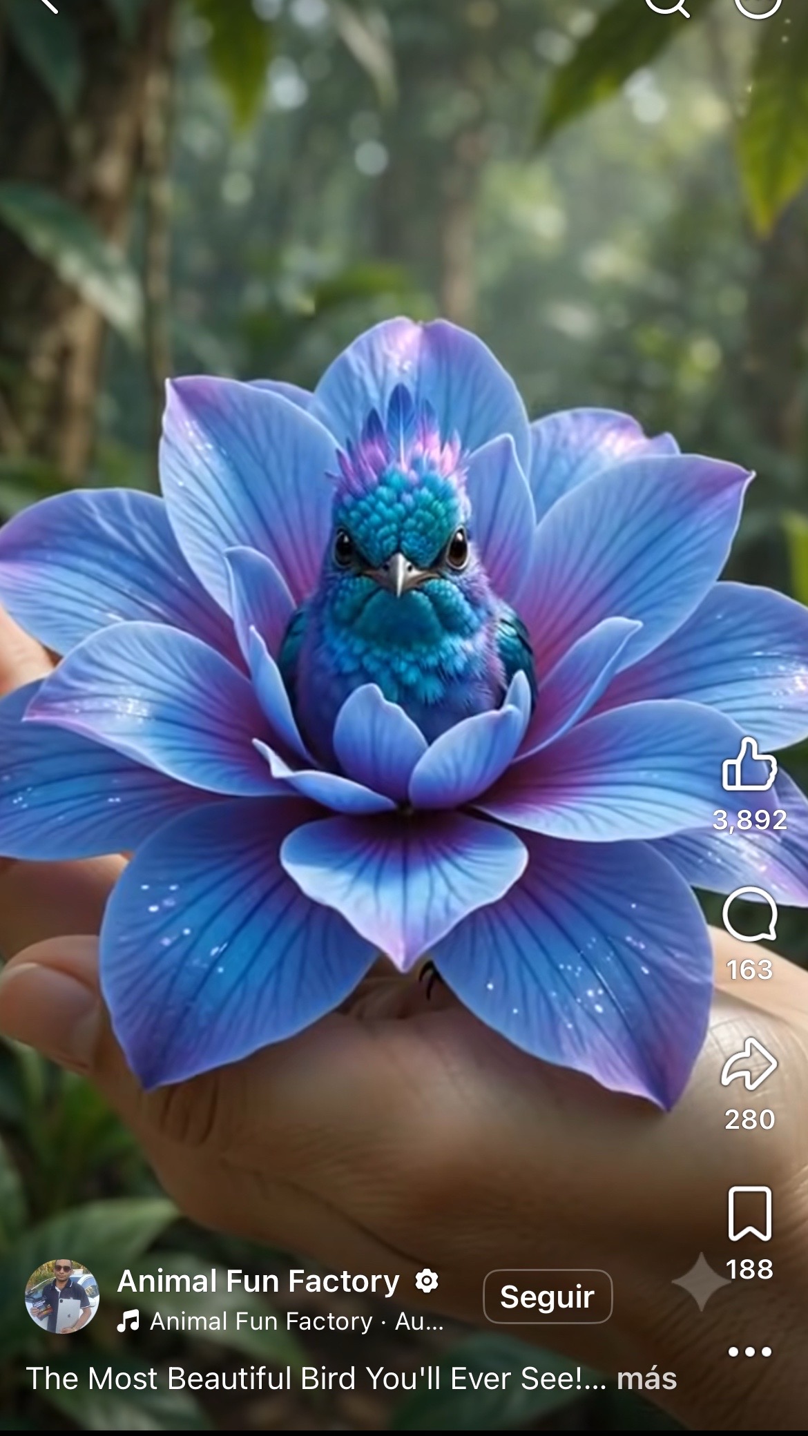 @Mar&iacute;a Flores