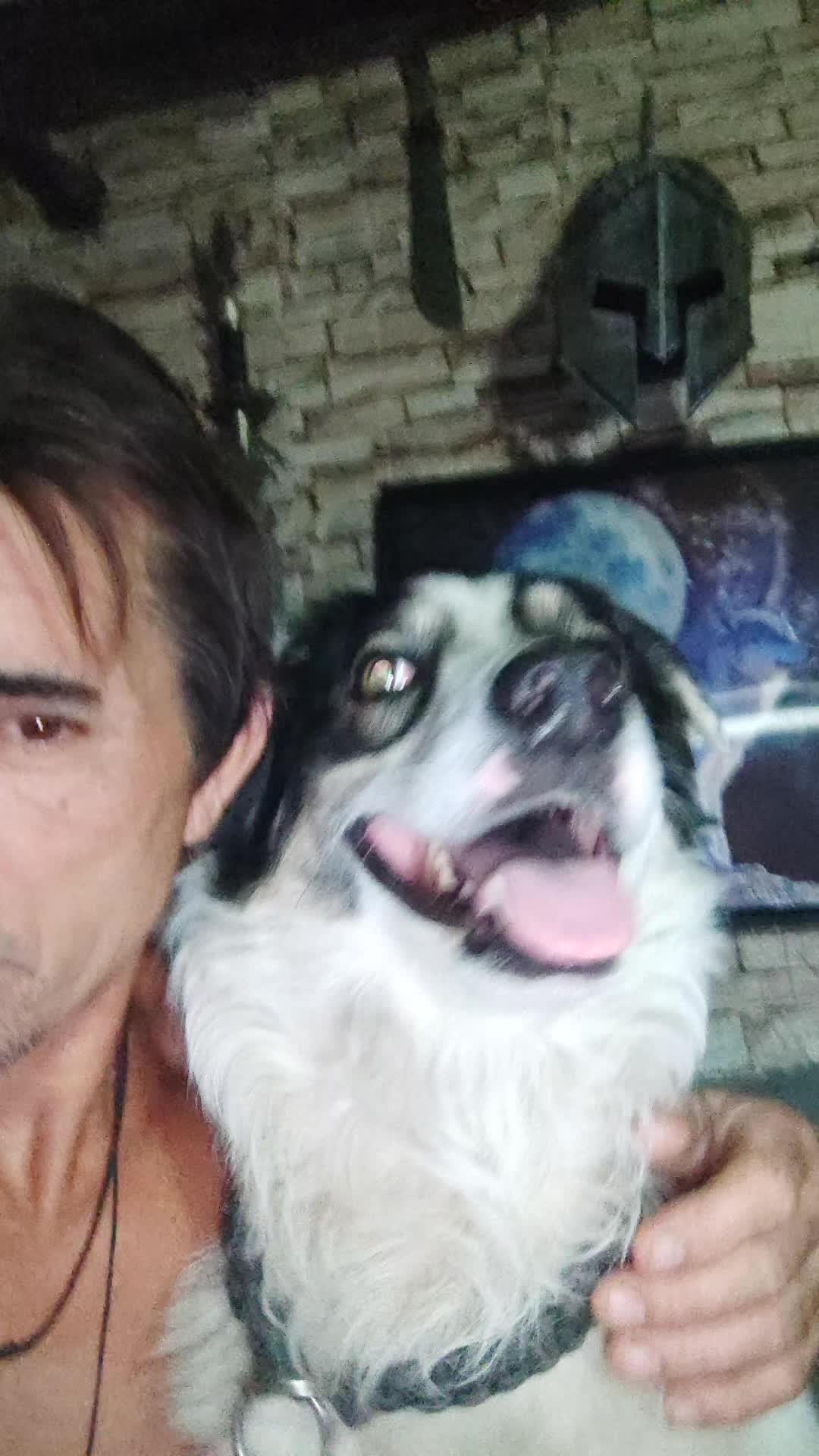 @Jose alberto Santos mendes