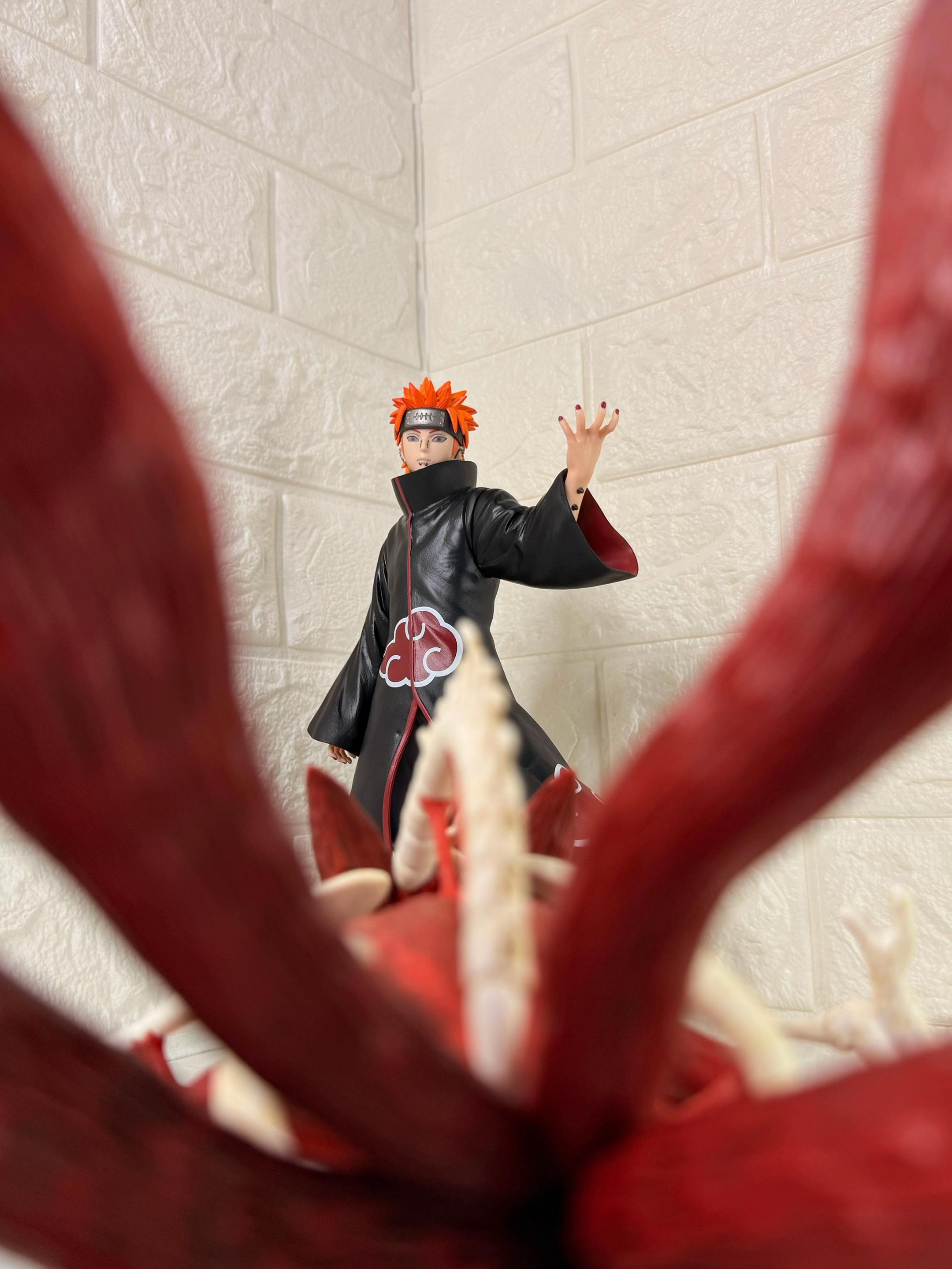 @Shinigami Collector