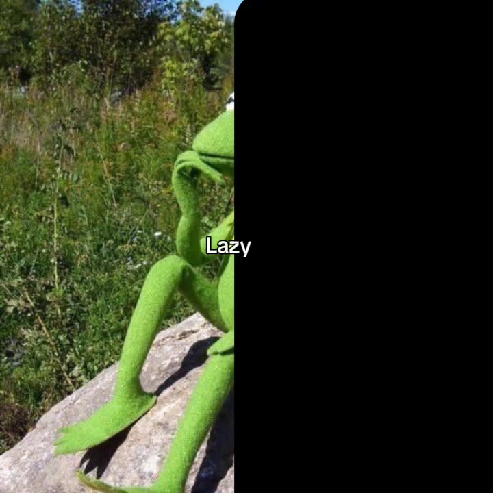 @kermit 🐸🪕
