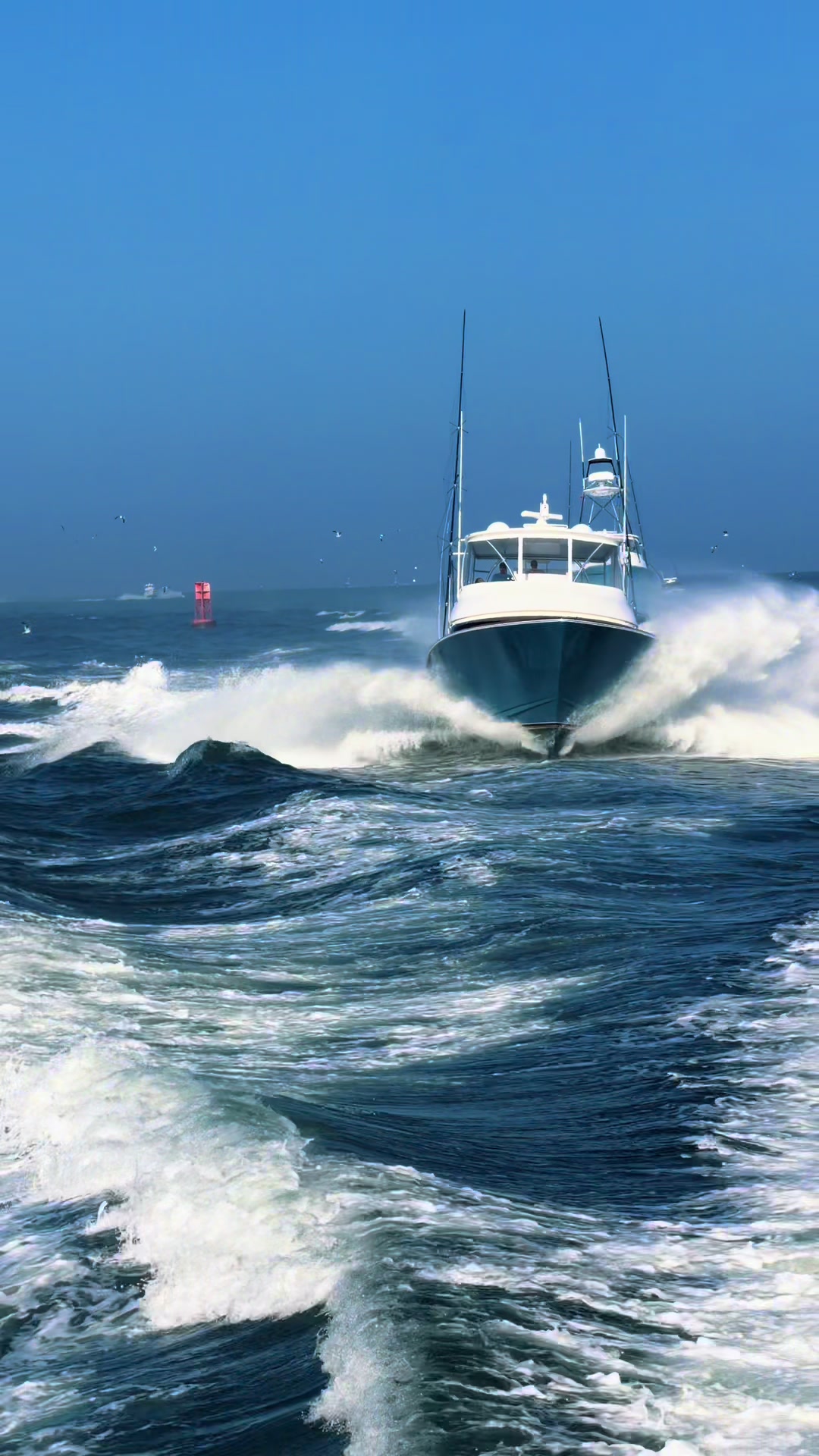 @DAILY SPORTFISH