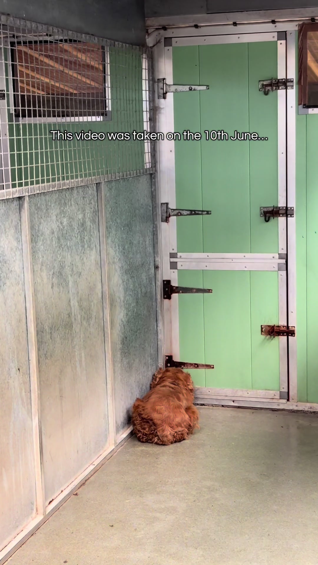 @Many Tears Animal Rescue🐾