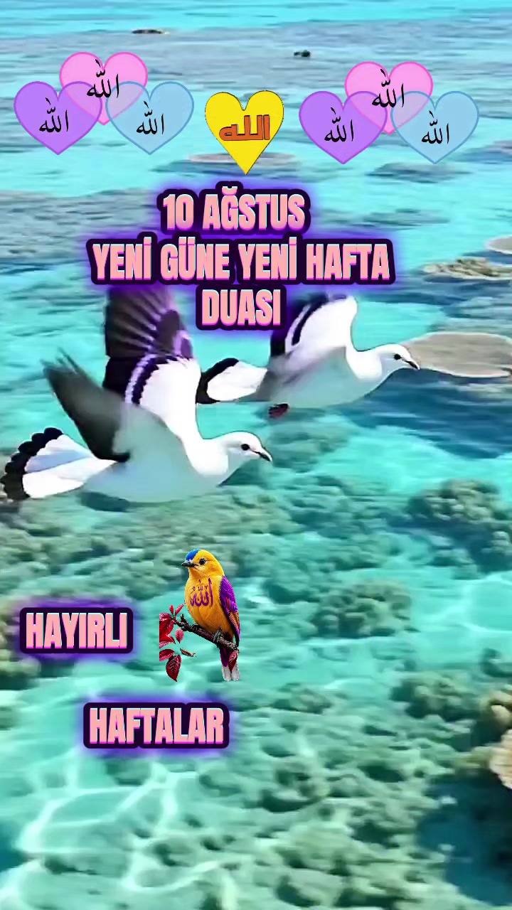 @NAKŞİ💚AYLESİ💜AHSEN🌹G&Uuml;L