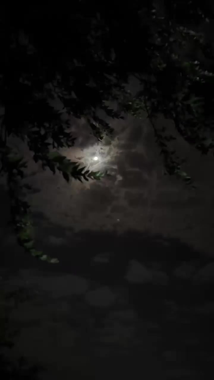 @𝓨𝓸𝓾𝓼𝓲𝓯  ོ ⠀