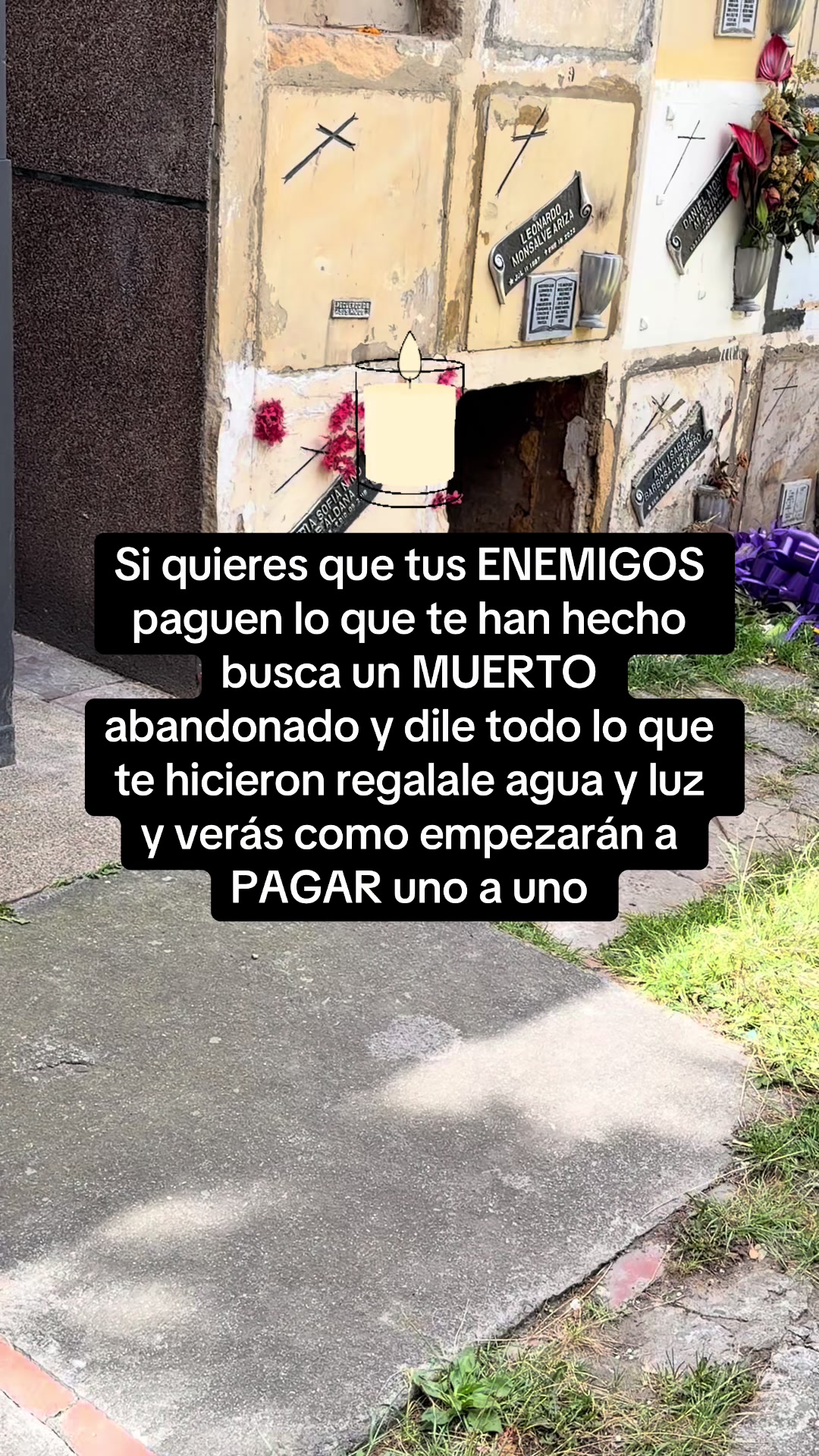 @Amarres De Amor Efectivos✨