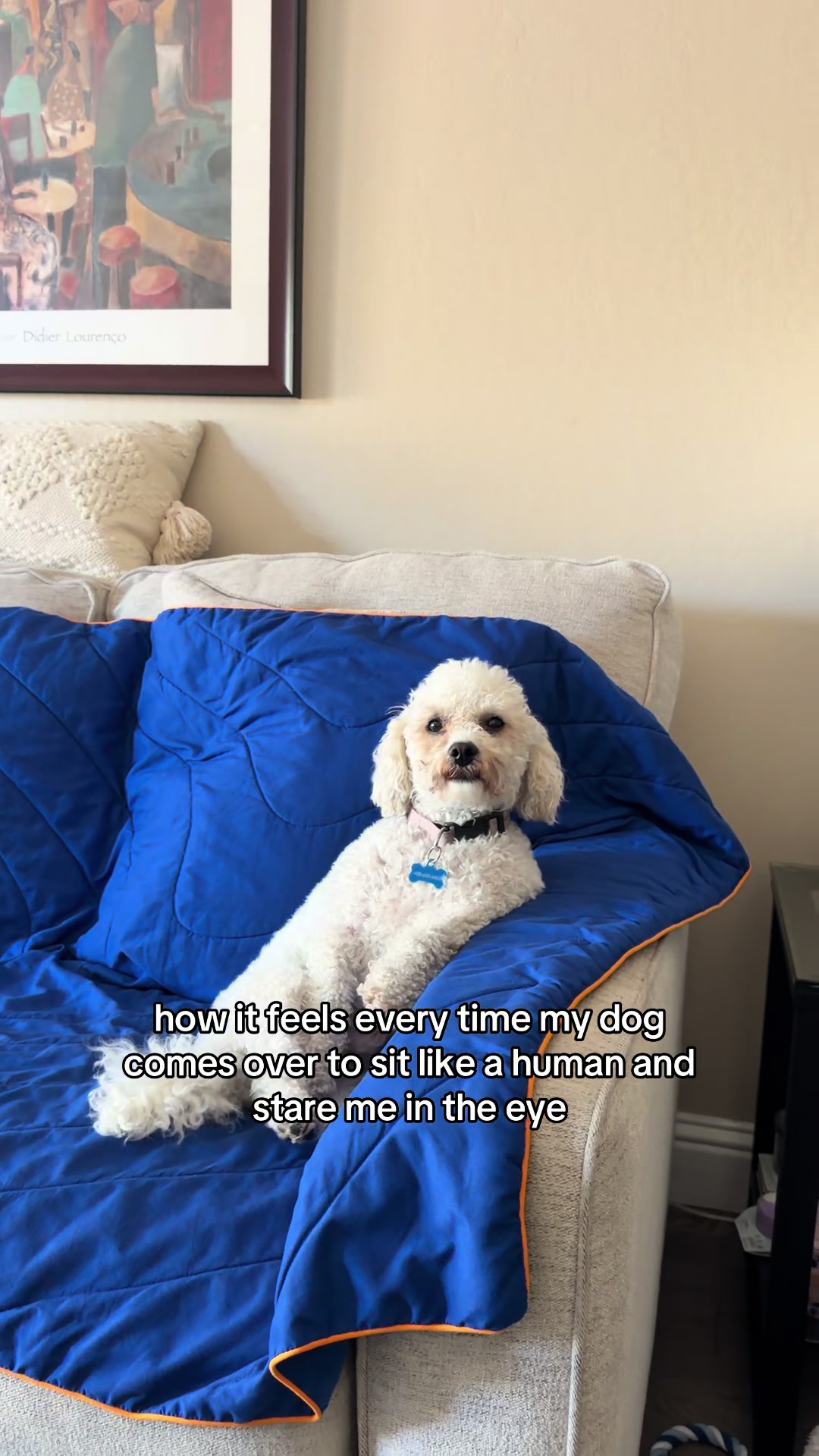 @yas