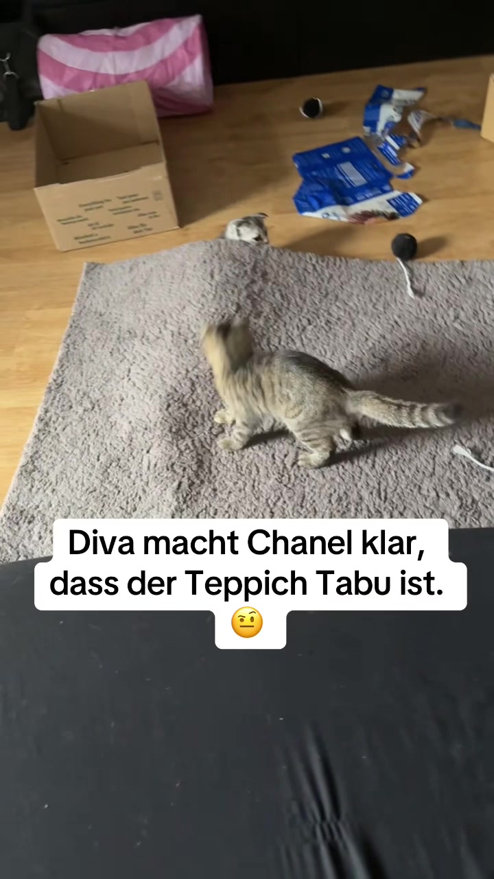 @Divaurteilt