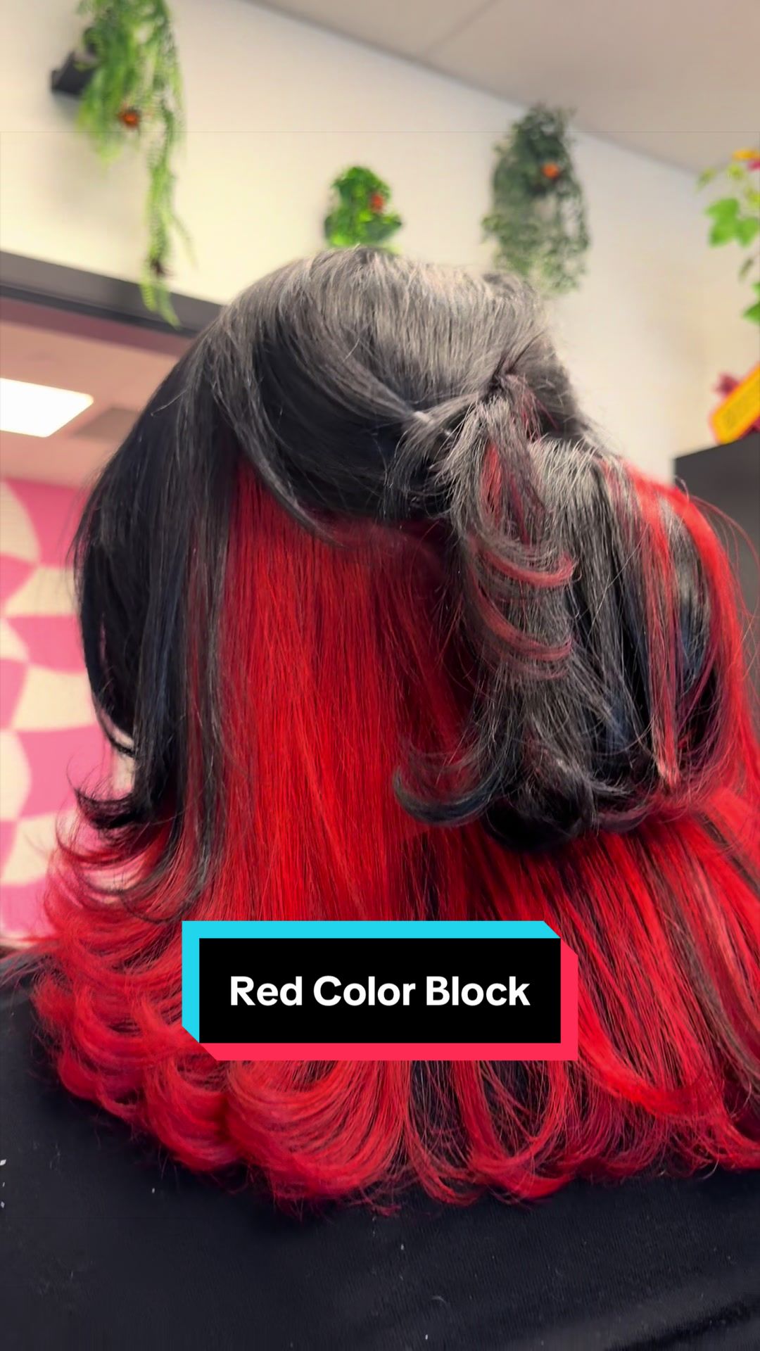 @Nallely TX Hairstylist