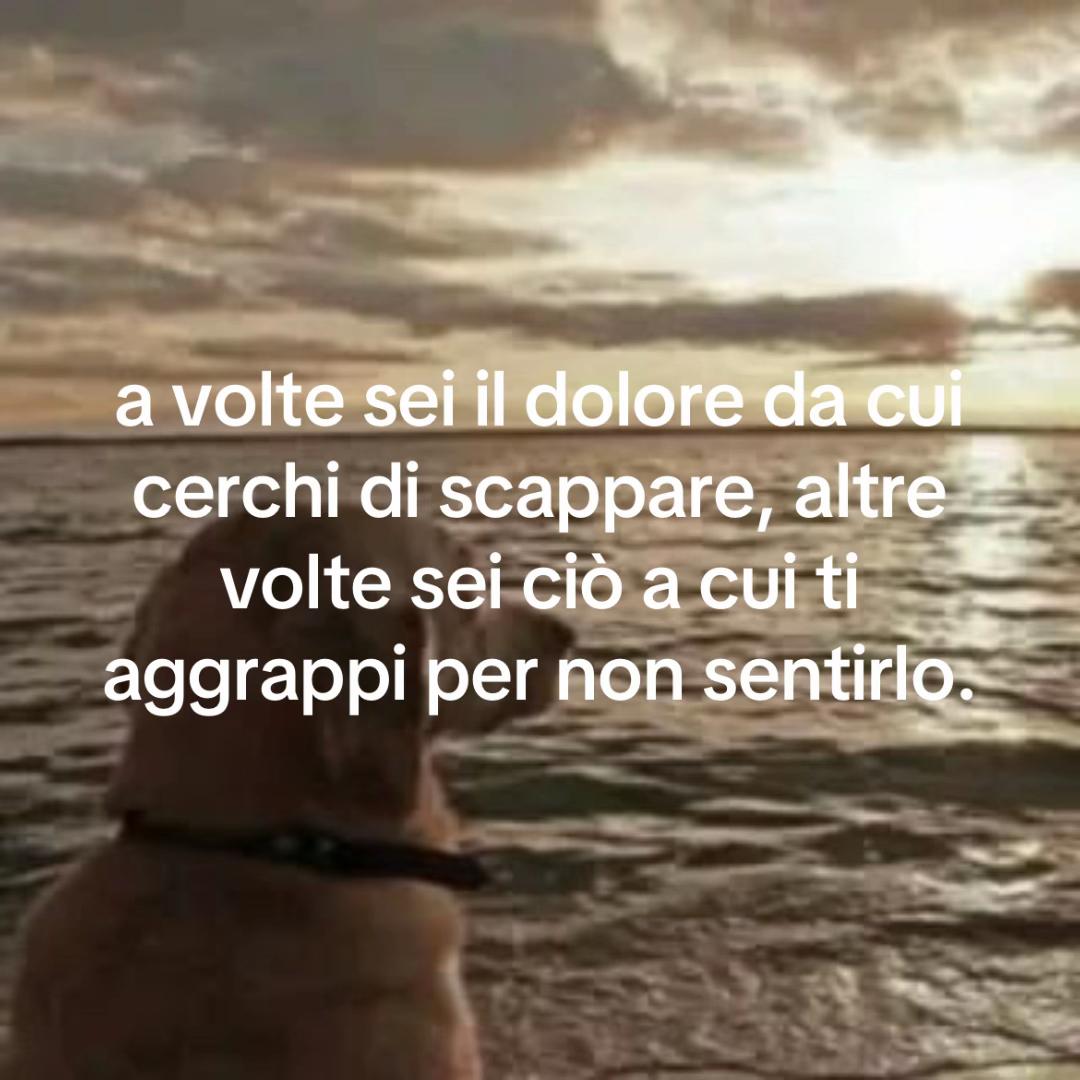 @micettadelulu