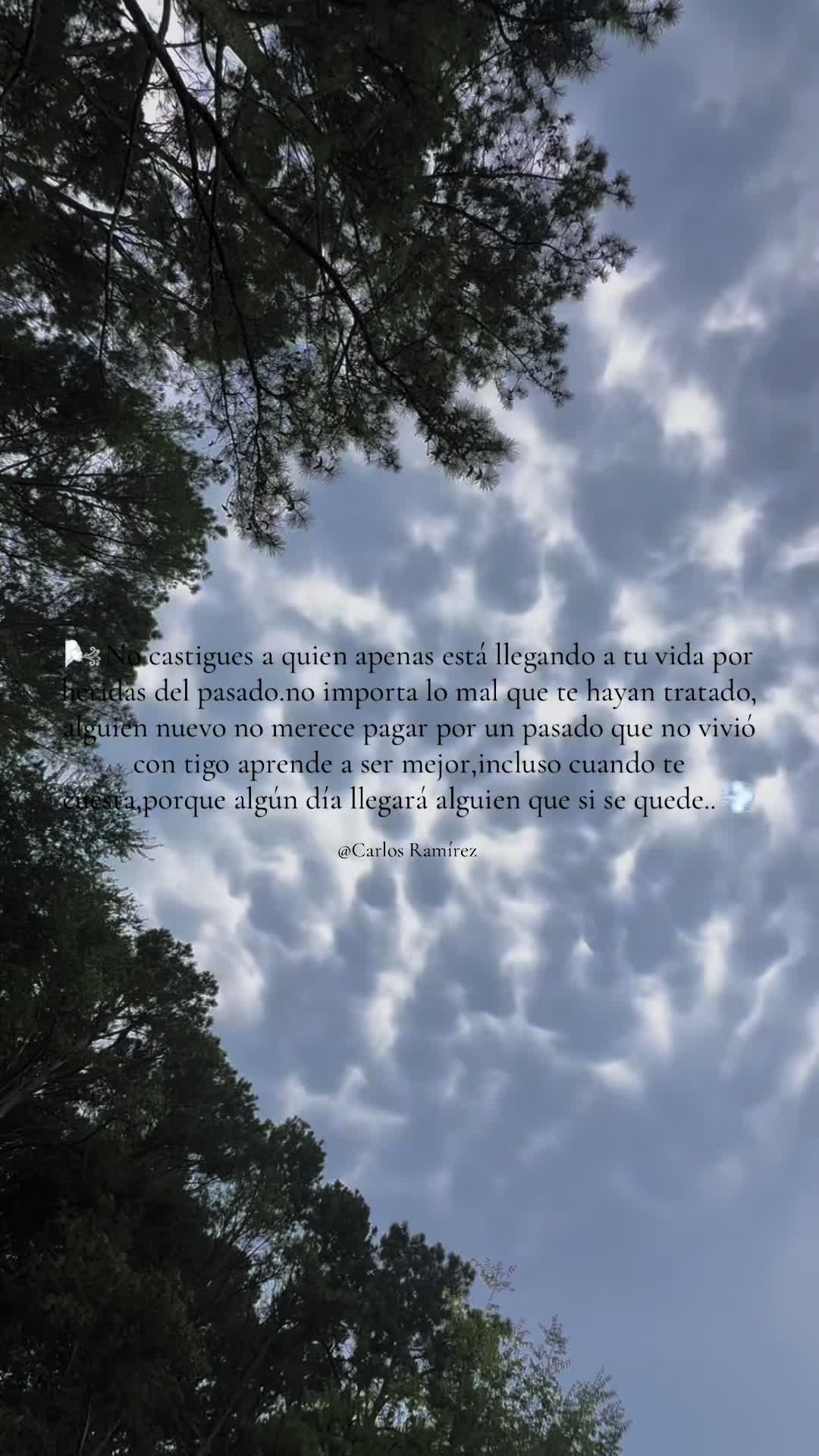 @Calin🕯️