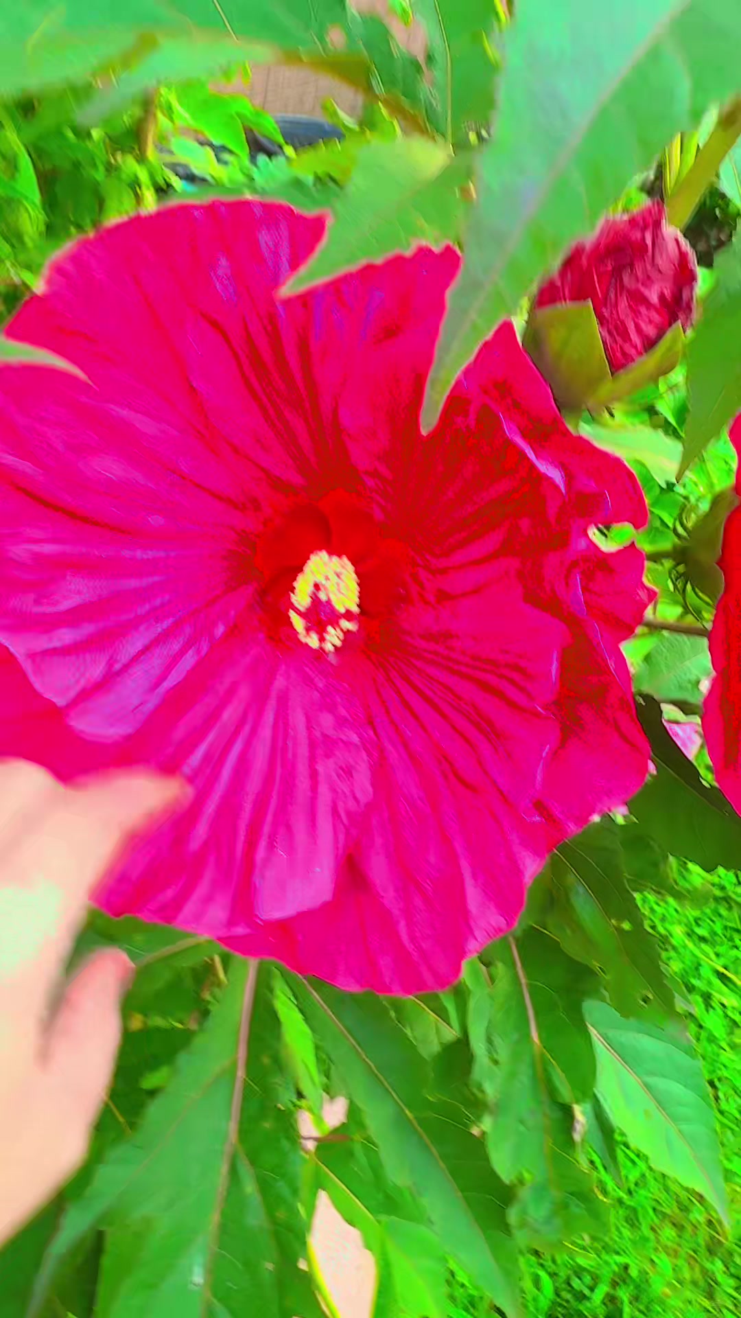 @sali muskaan America.💎
