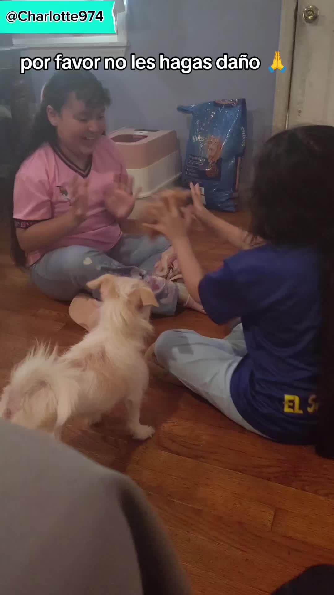 @Charlotte🐕🦺🐈🐕🦬🐐🐎🐄🐒