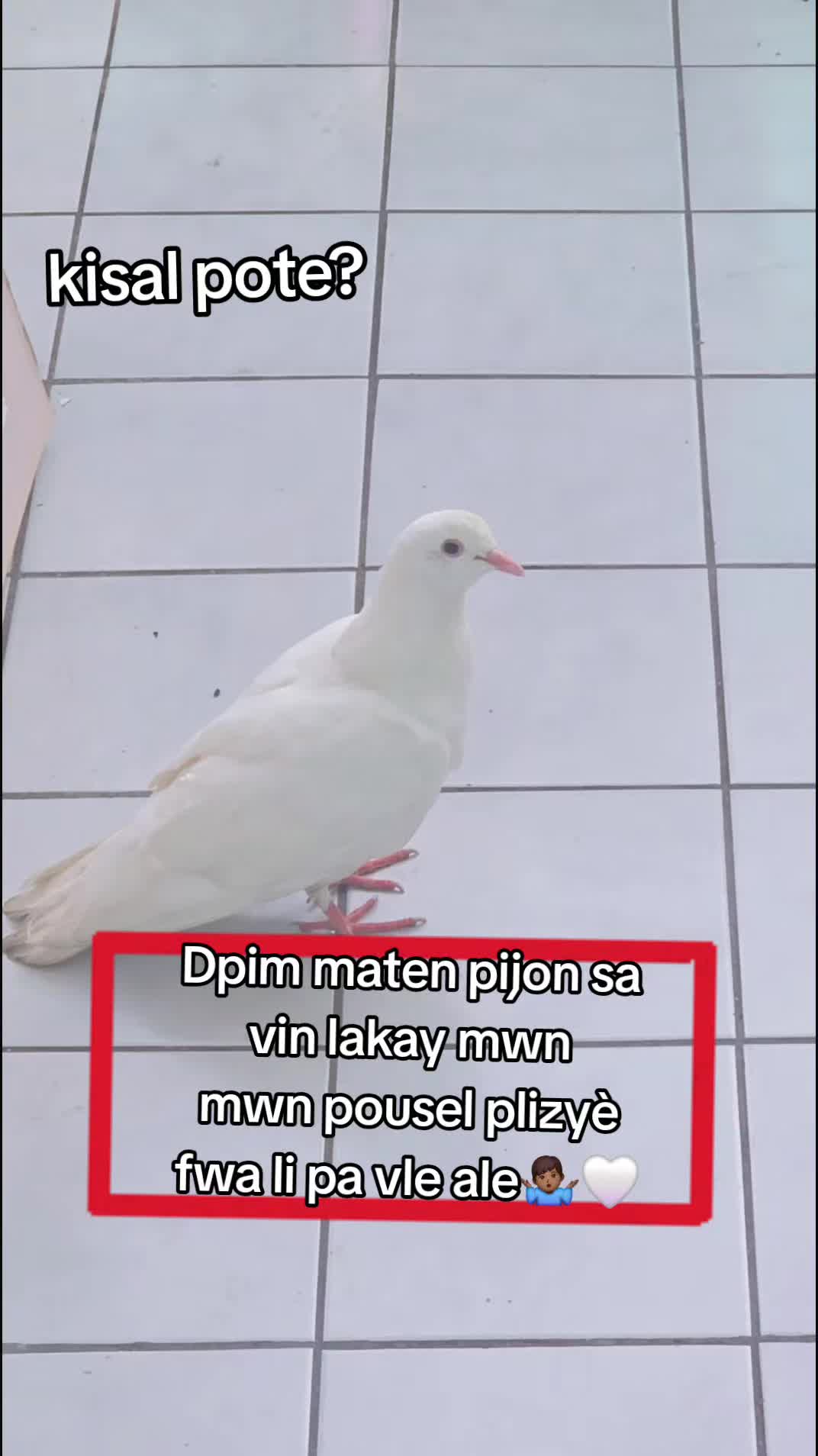 @gasmyyy