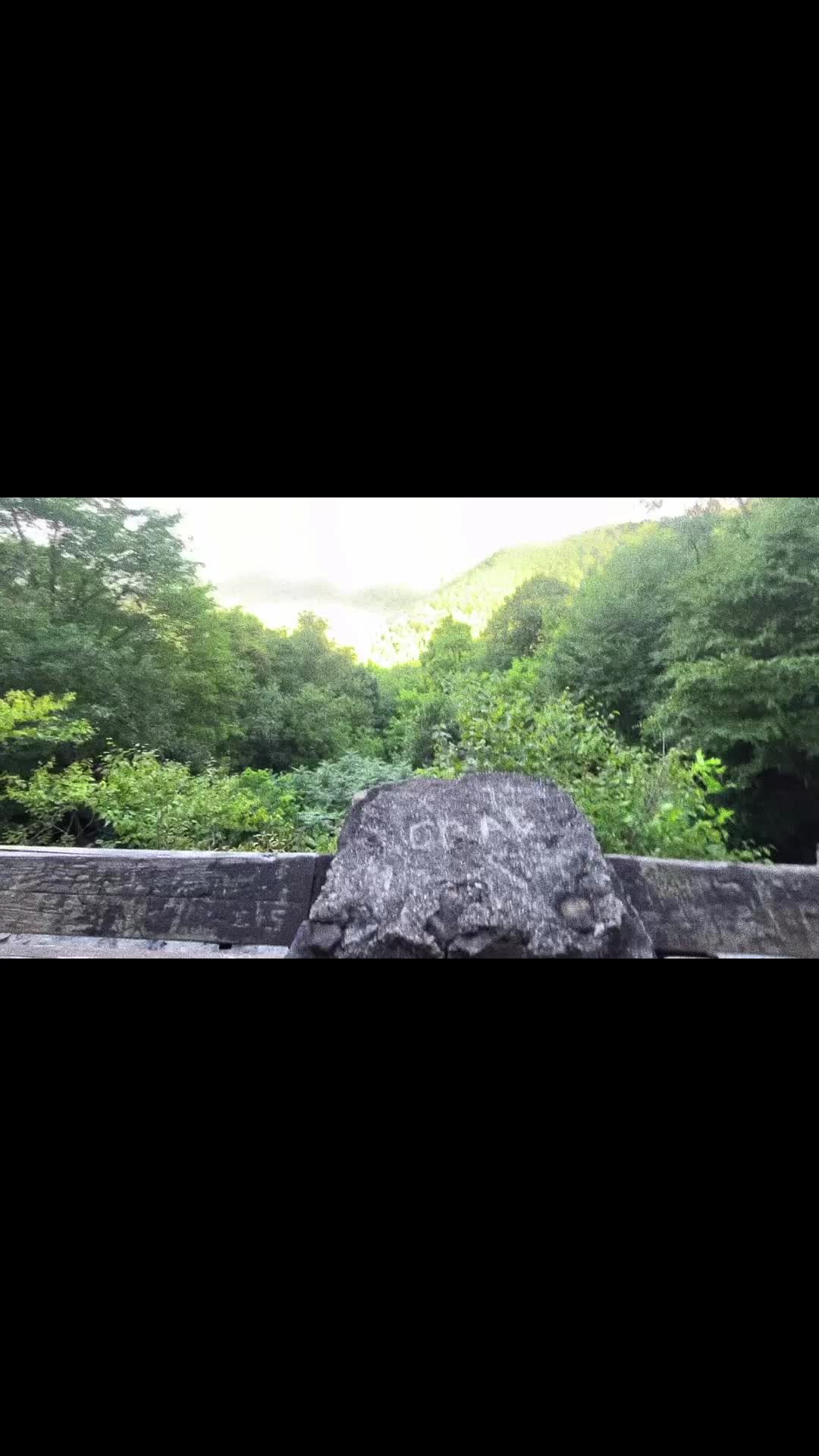 @Backyard Appalachia