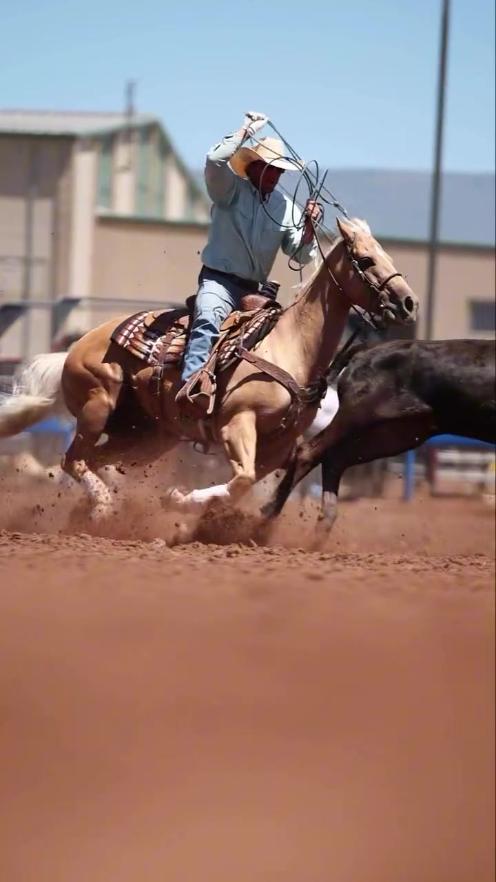@Roping Dummies Texas