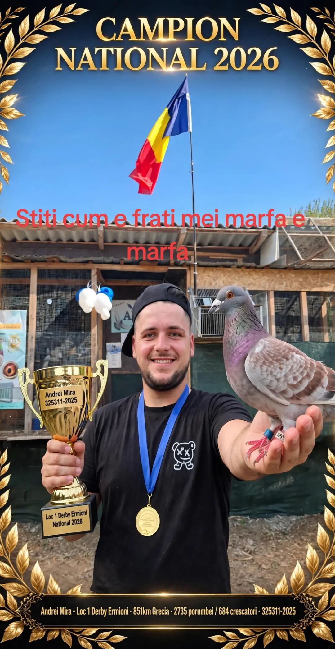 @Andrei Mira
