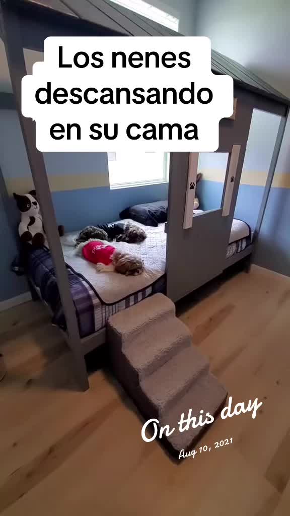 @Oreo & Cookie