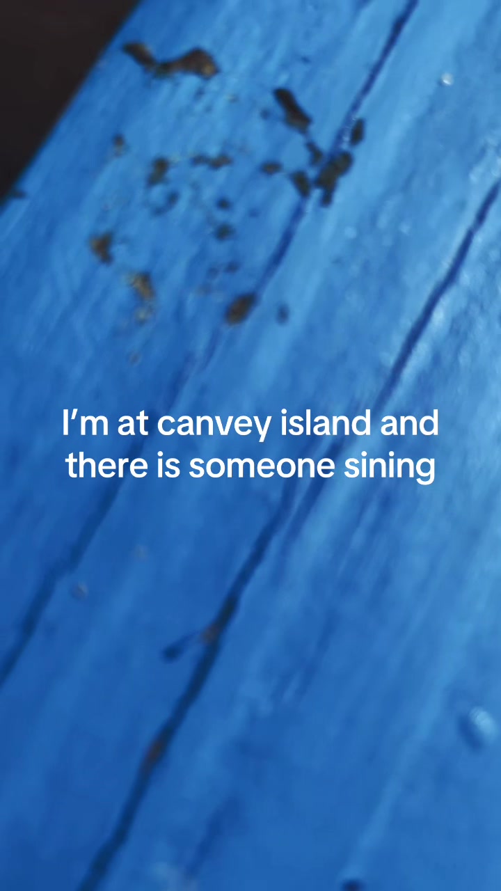 @justagirlandherjellycats