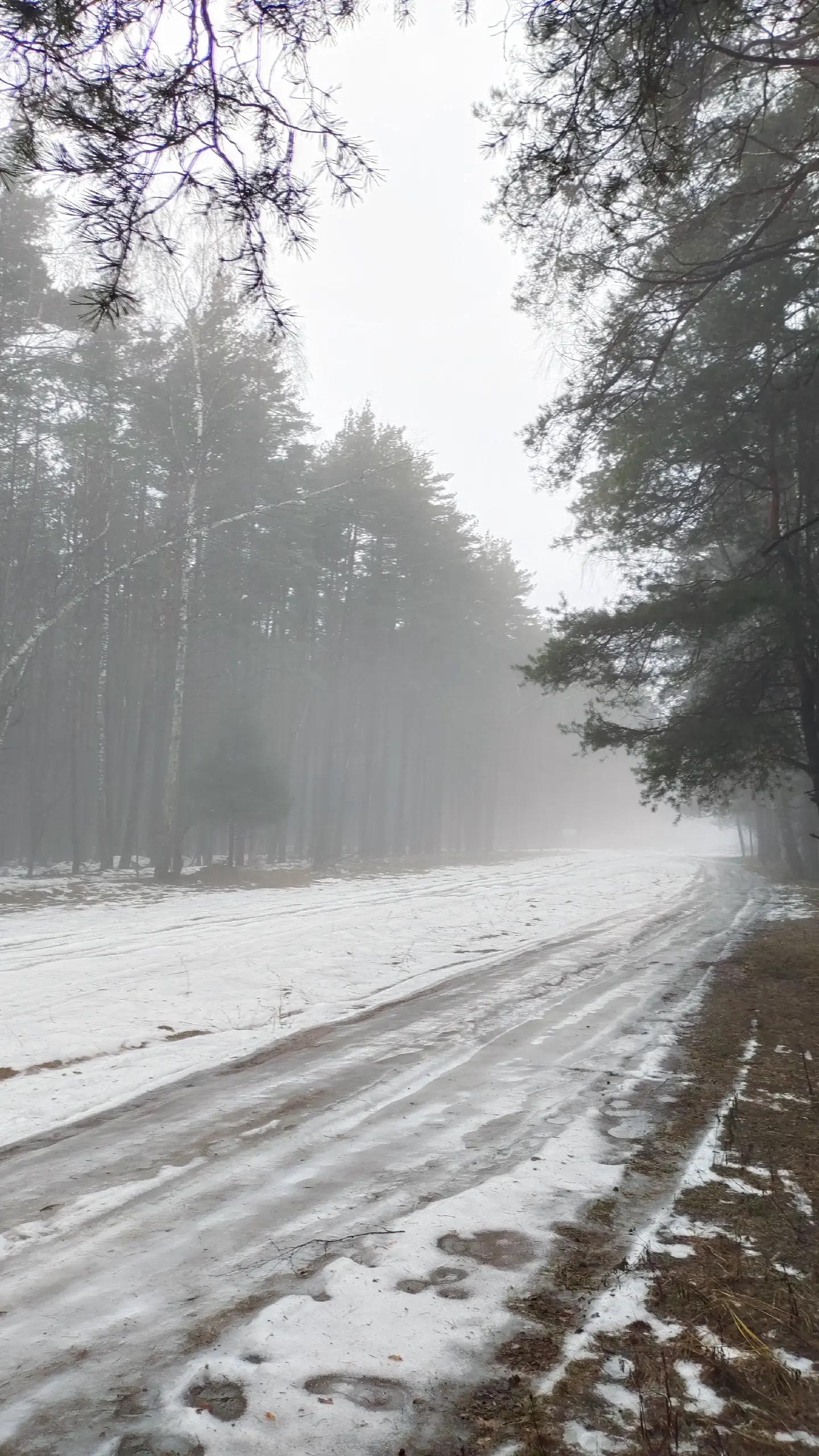 @я тупа свег щя