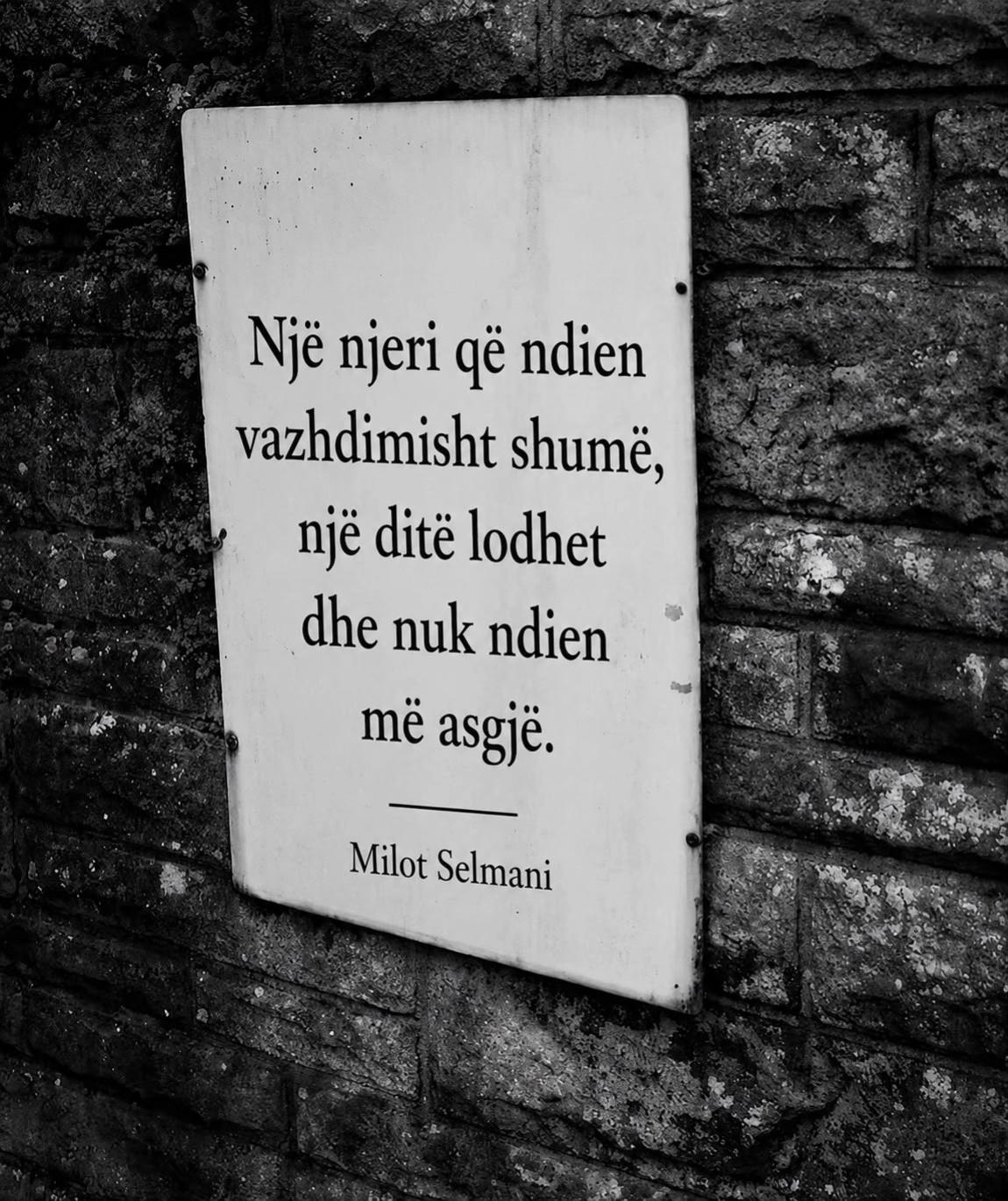 @milotselmani