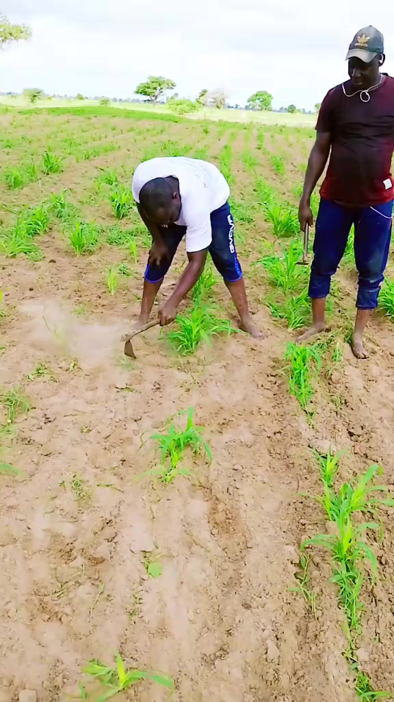 @Beugu&eacute; Macky Sall