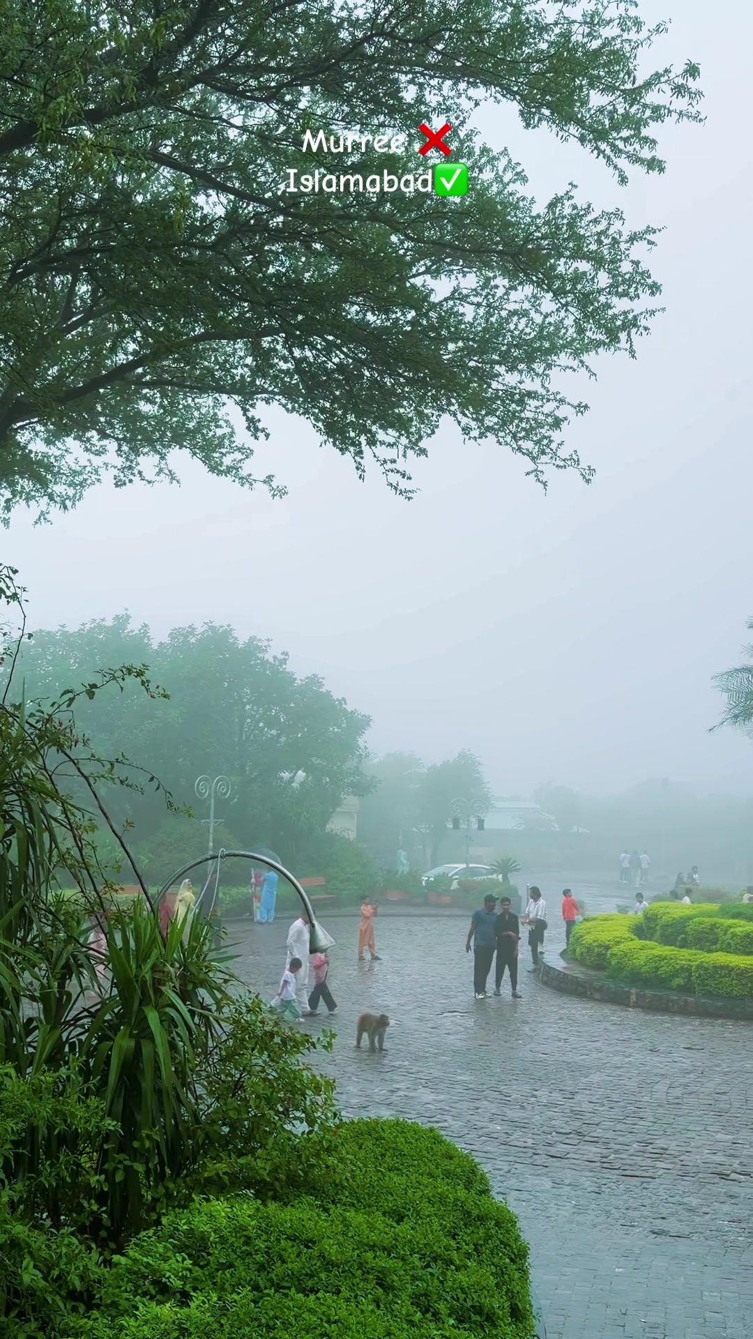 @Discover Islamabad 🌳🌲