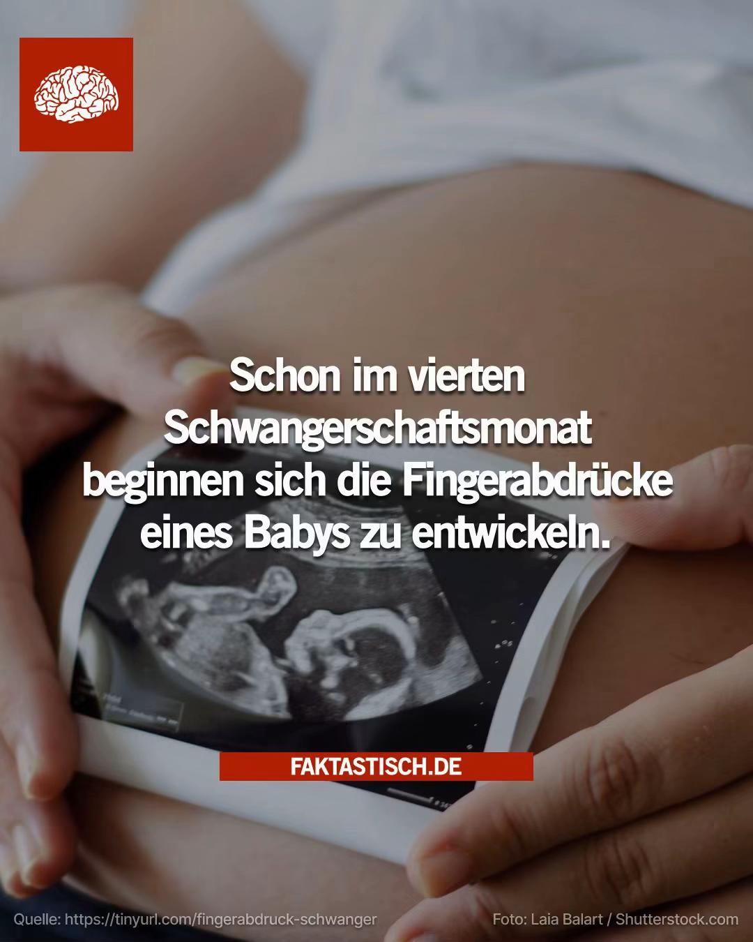 @Faktastisch