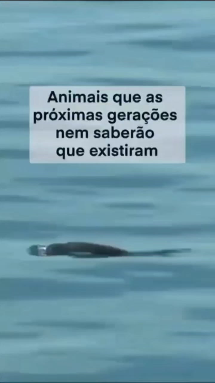 @Monica Helena Lopes