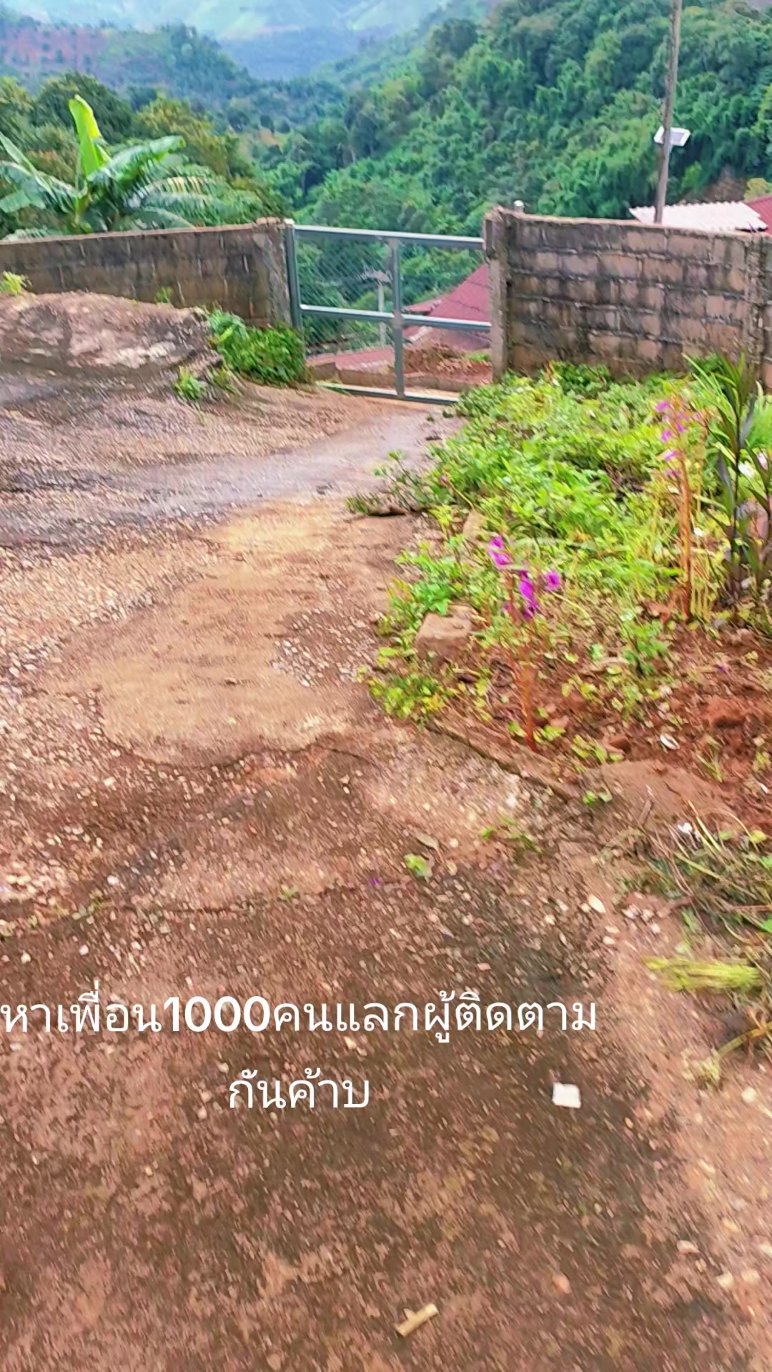 @แทน!