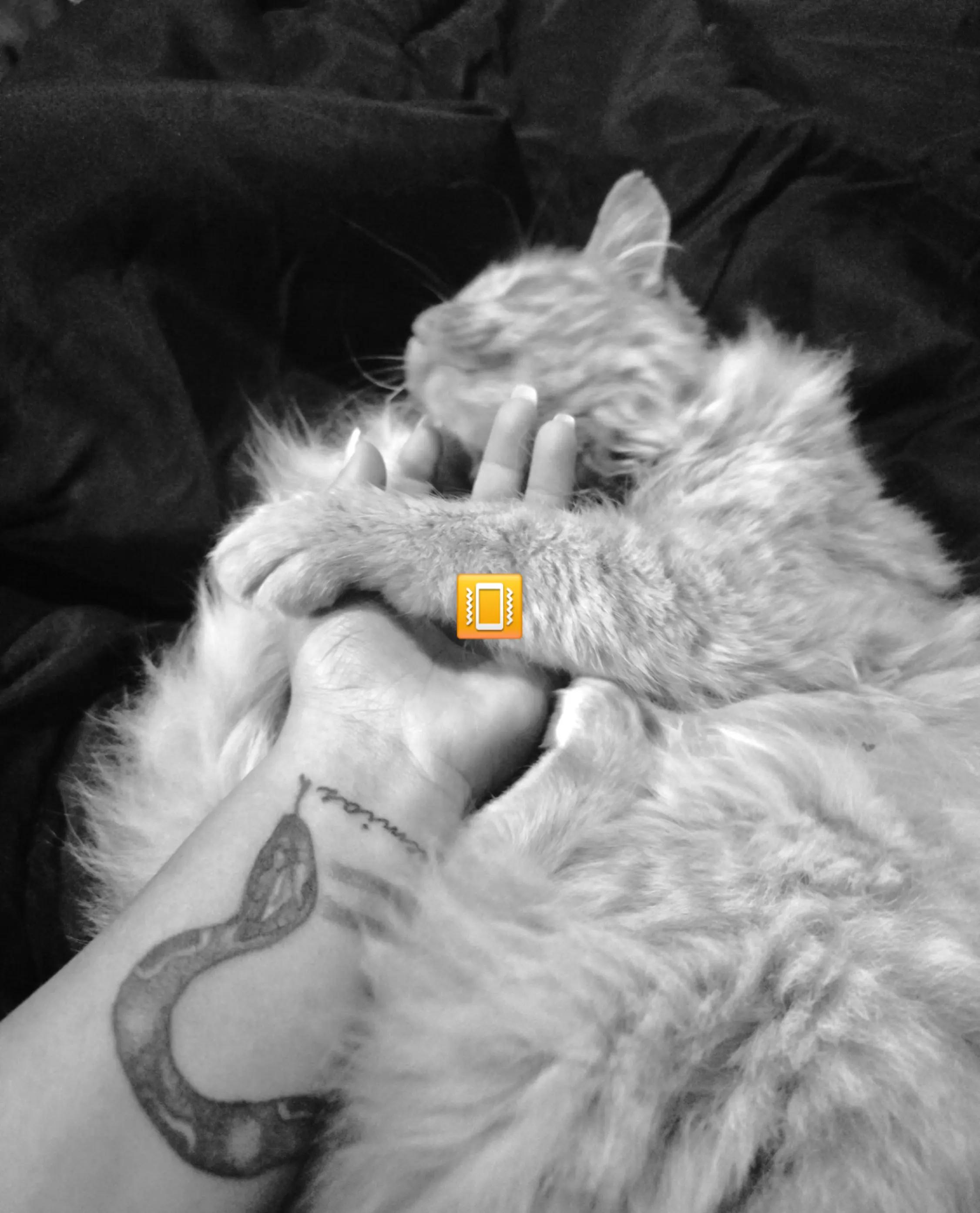 @ᴄʜᴀʏᴏ ɢᴏ́ᴍᴇᴢ ♡
