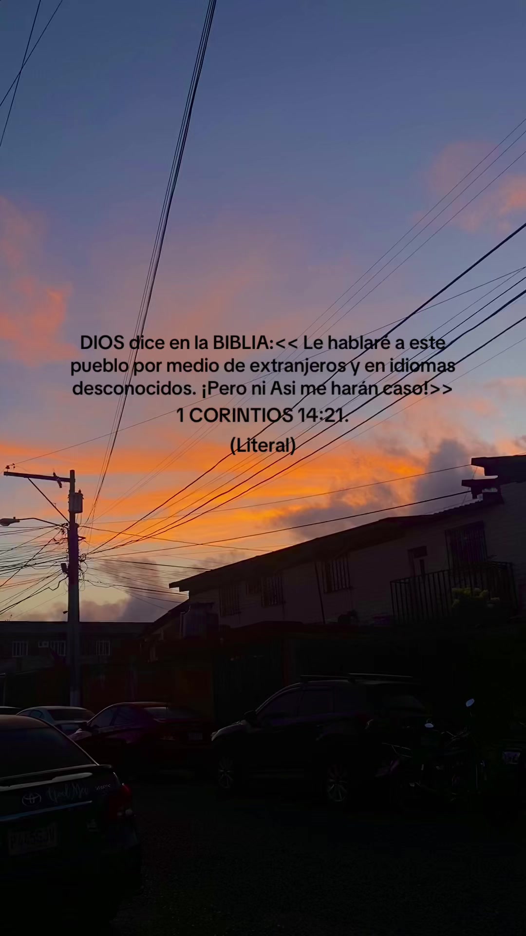 @Samii