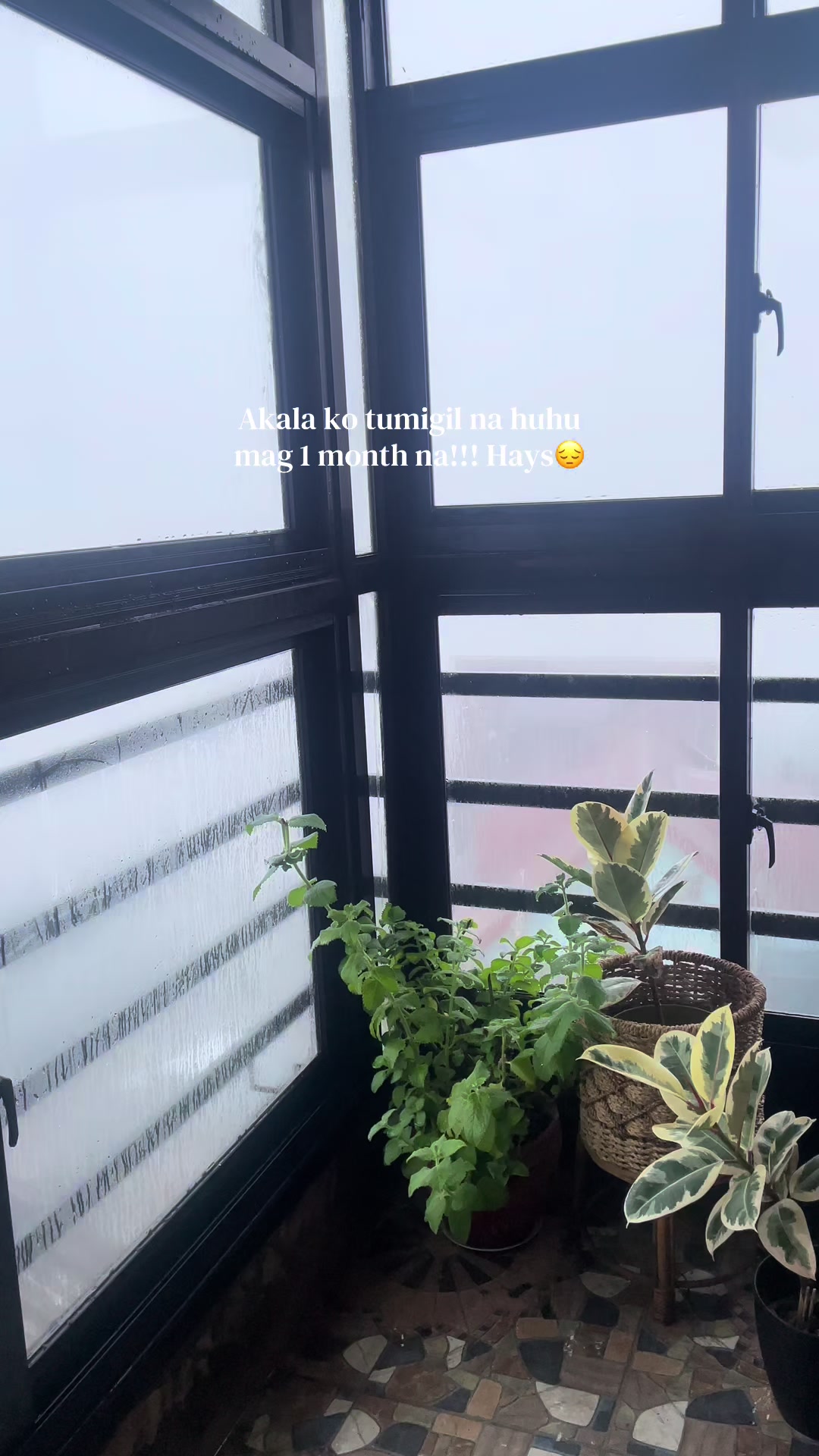 @mylesvasquez