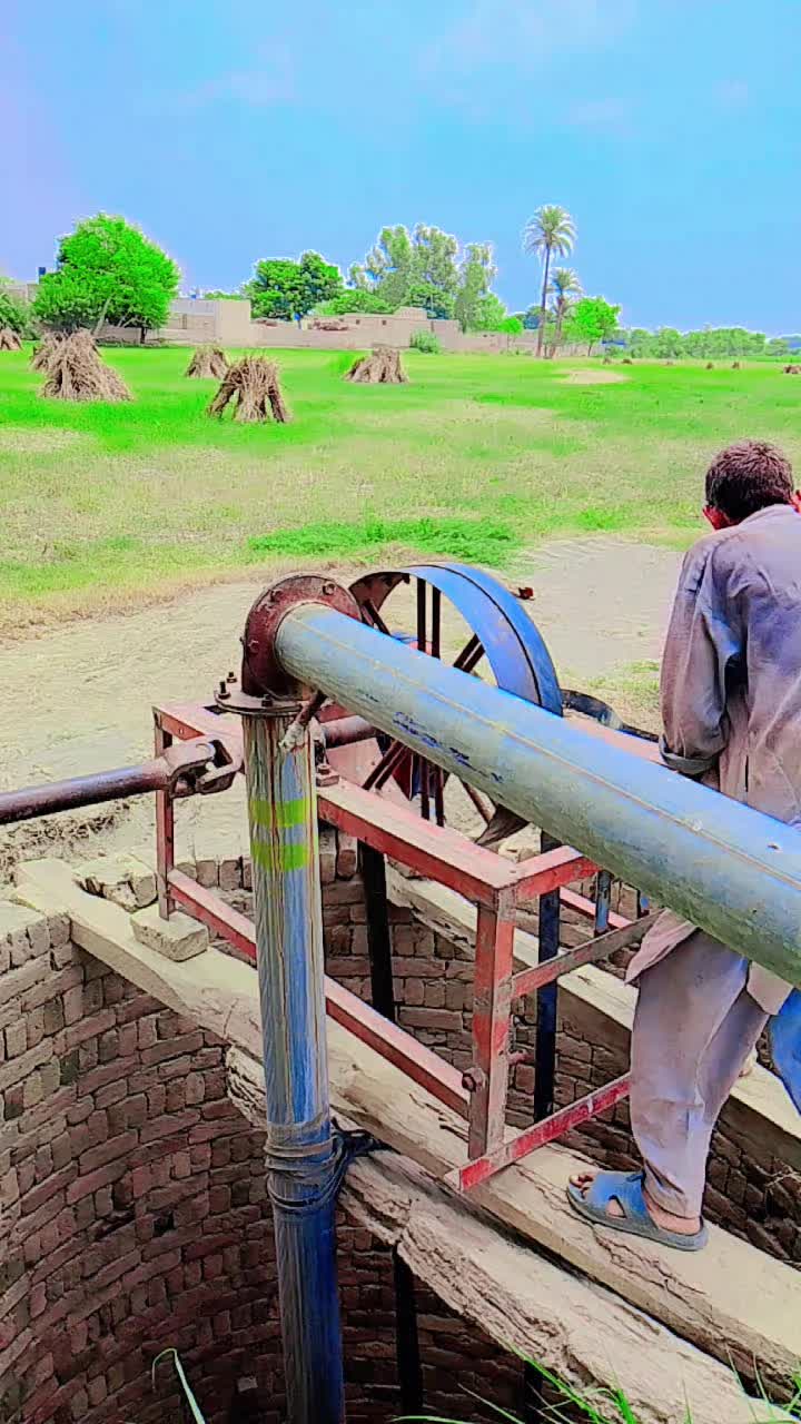 @MalikFarooq72