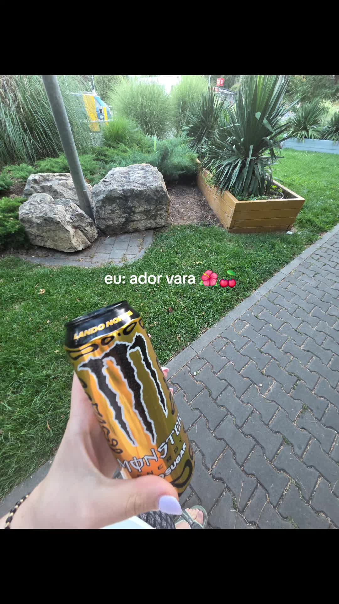 @roxana