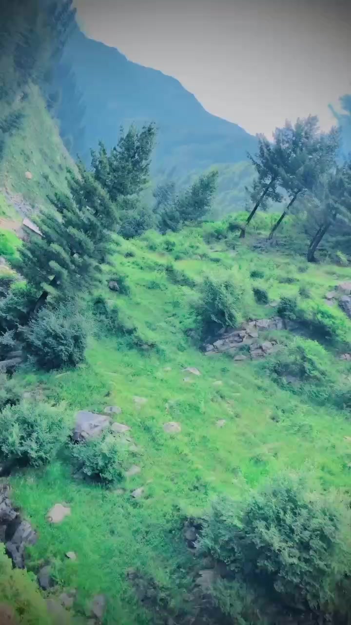 @سواتی جانان